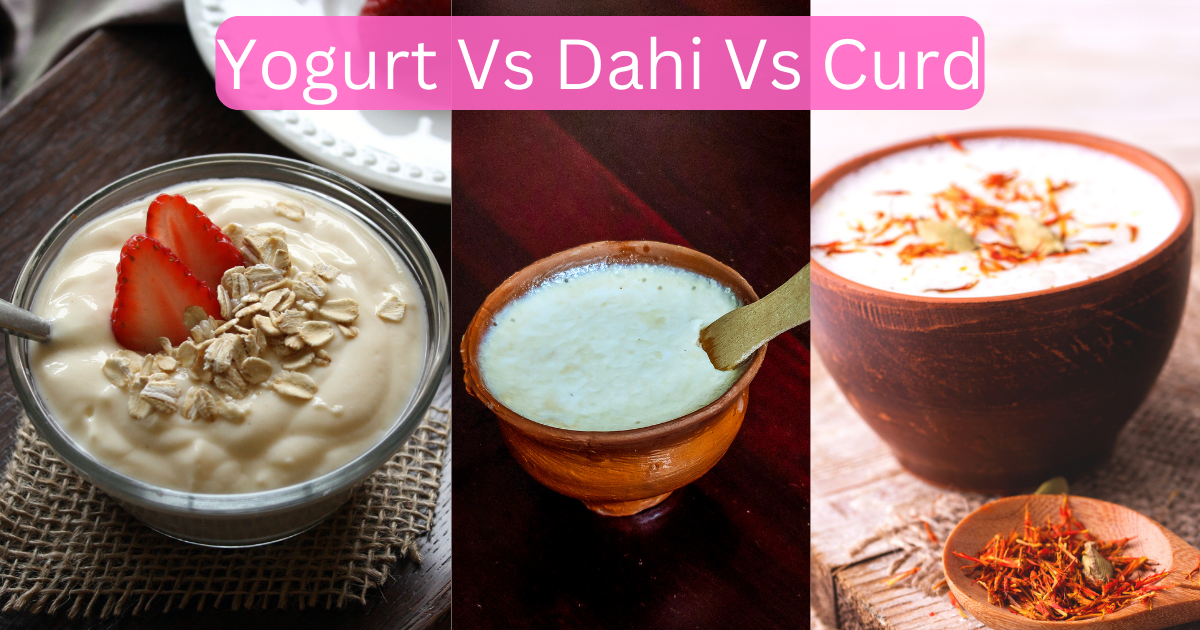 Yogurt Vs Dahi Vs Curd