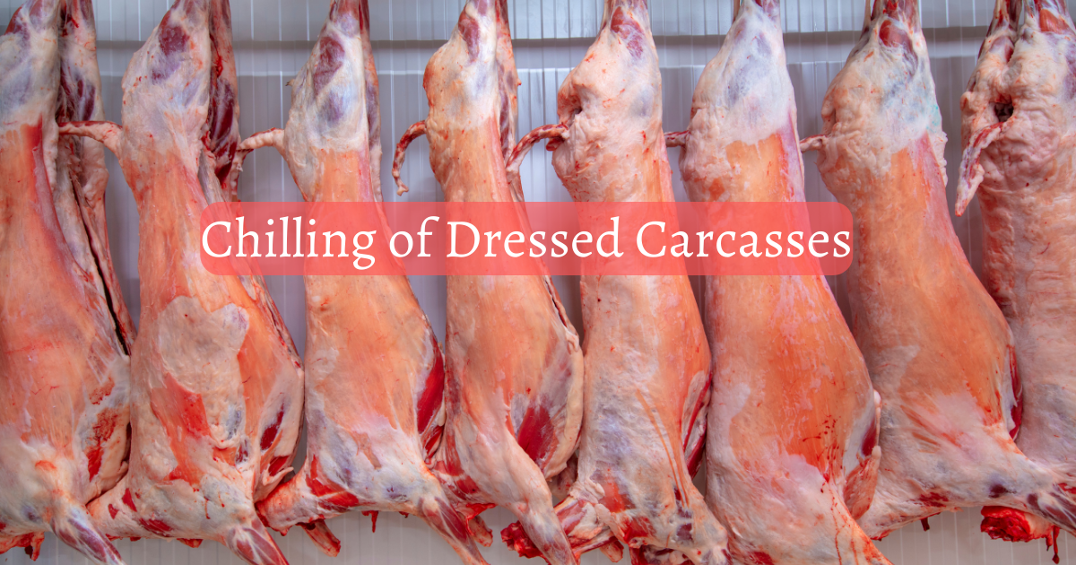 CHILLING OF DRESSED CARCASSES