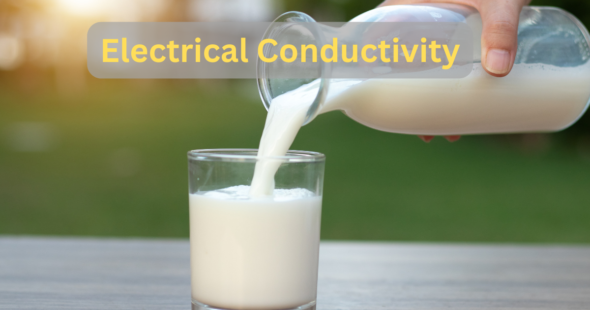 electrical conductivity and glass of milk