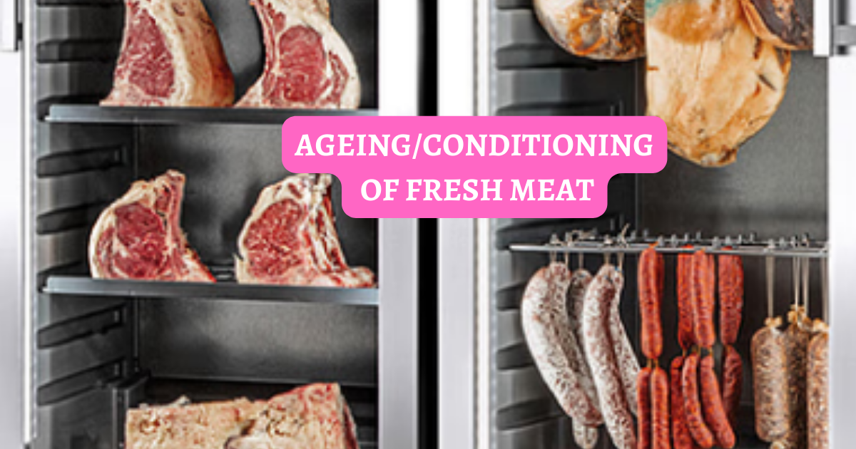 AGEING CONDITIONING OF FRESH MEAT