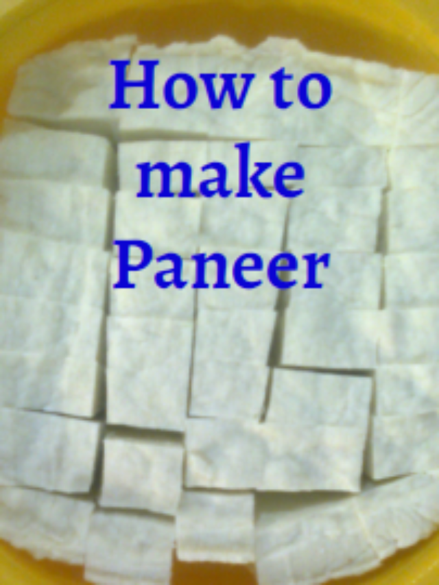 How to make Paneer