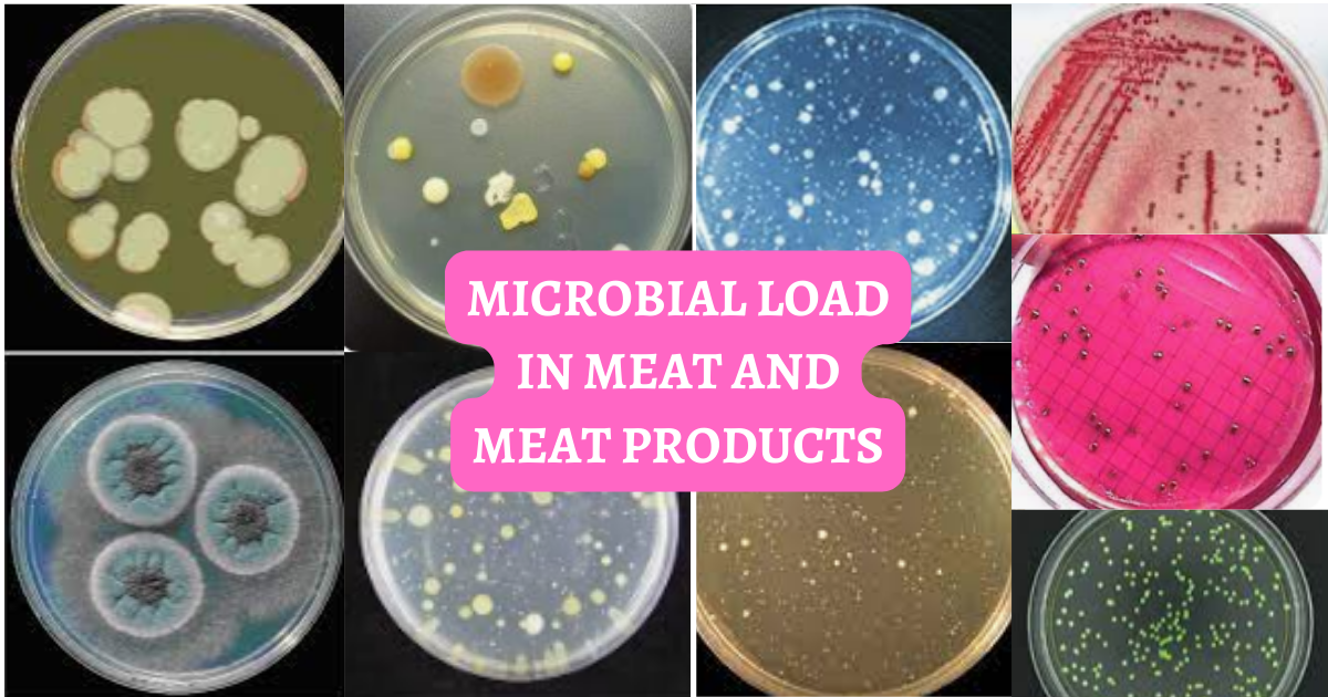 MICROBIAL LOAD IN MEAT AND MEAT PRODUCTS