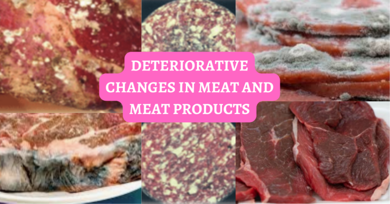 DETERIORATIVE CHANGES IN MEAT AND MEAT PRODUCTS, spoilage of meat