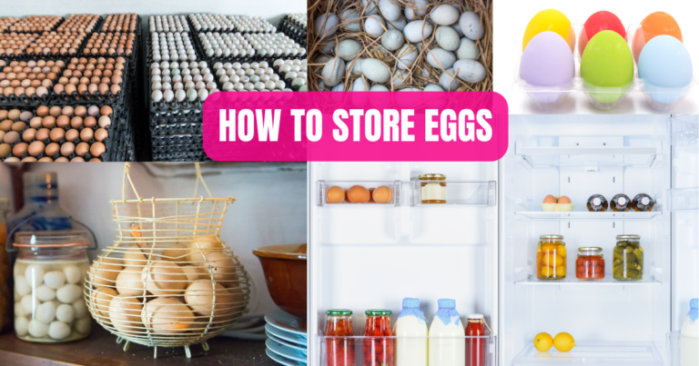 HOW TO STORE EGGS