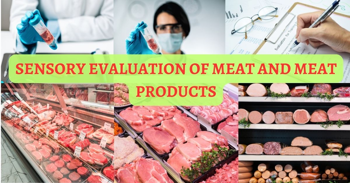 SENSORY EVALUATION OF MEAT AND MEAT PRODUCTS